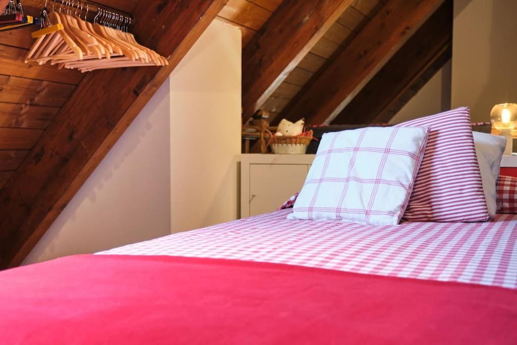 Atico Duplex Garaje Y Wifi Gratis Panticosa Appartement Buitenkant foto